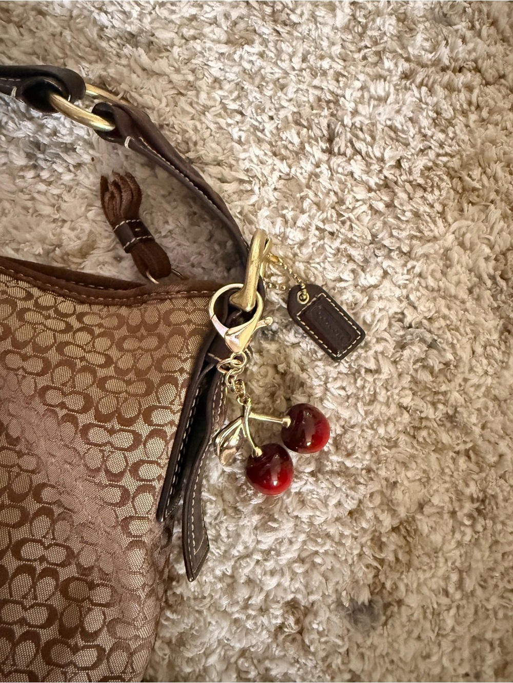 Coach Tan/Brown Signature Canvas Shoulder Bag - Picture 3 of 12